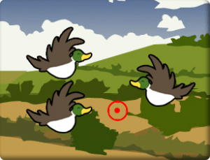 Bird Blast