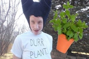 Durr Plant – the game