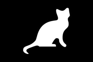 Cat Game