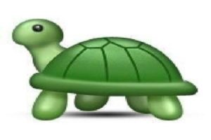 Turtle Quest
