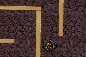 A maze of death
