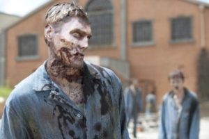 Last War Z