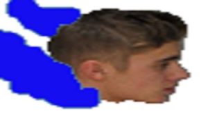 Flappy Bieber