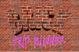 Brick Trip Runer
