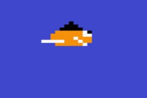 PixlBird