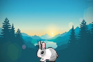 Rabbit Run