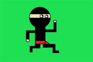 Ninja Adventures