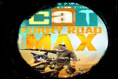 Cat Max Furry Road