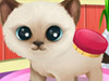 Paws to Beauty 3: Puppies & Kittens Html5
