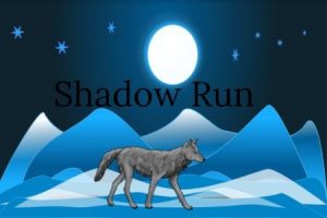 Shadow Run