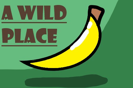 A Wild Place